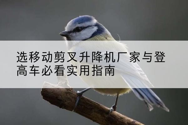涡阳电动升降机厂家-选移动剪叉升降机厂家与登高车必看实用指南