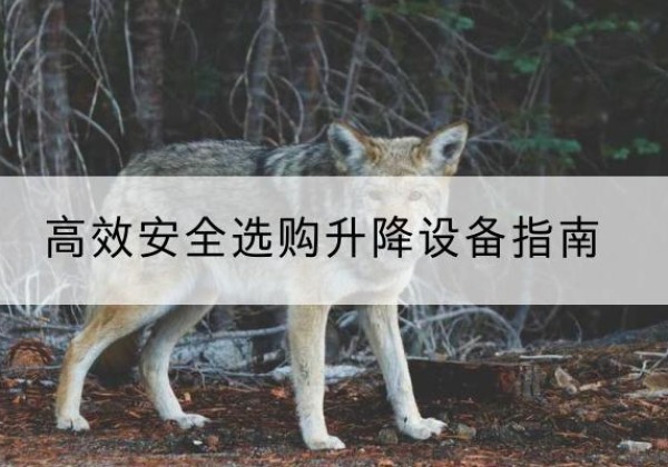 涡阳升降货梯厂家推荐-*安全选购升降设备指南