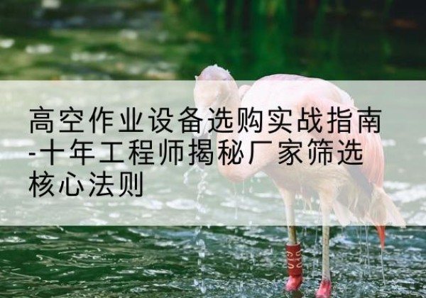 涡阳剪叉式升降机厂家-高空作业设备选购实战指南-十年工程师揭秘厂家筛选核心法则